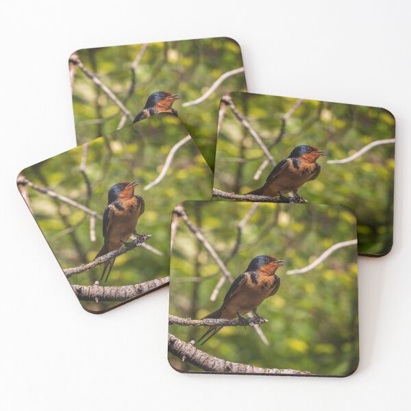 Item preview, Barn Swallow Singing in a Tree designed and sold by jecphotography and art.