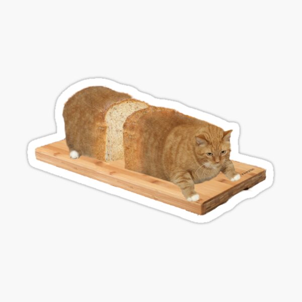 Cat Loaf Meme Sticker For Sale By Redakhatib Redbubble 1549