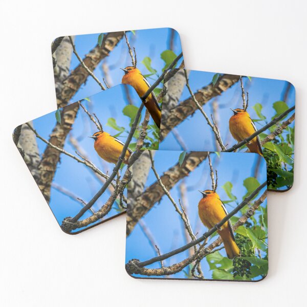 Item preview, Oriol de Bullock posado en una rama designed and sold by jecphotography and art.