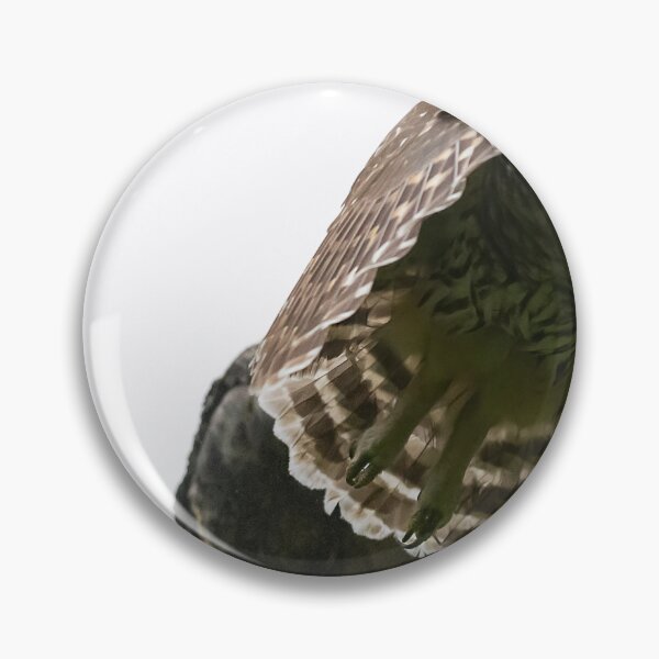 Item preview, Mama Barred Owl Flying Out designed and sold by Puttaswamy Ravishankar.