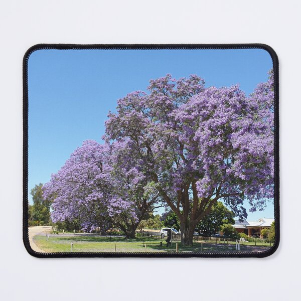 Item preview, Jacaranda Trees. designed and sold by WhoRayShirts.