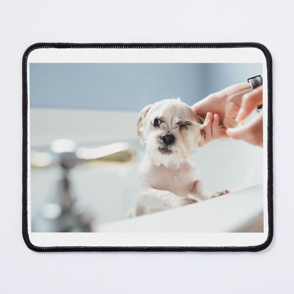 Item preview, Angry Dog in the Bathtub Sticker designed and sold by majnate.