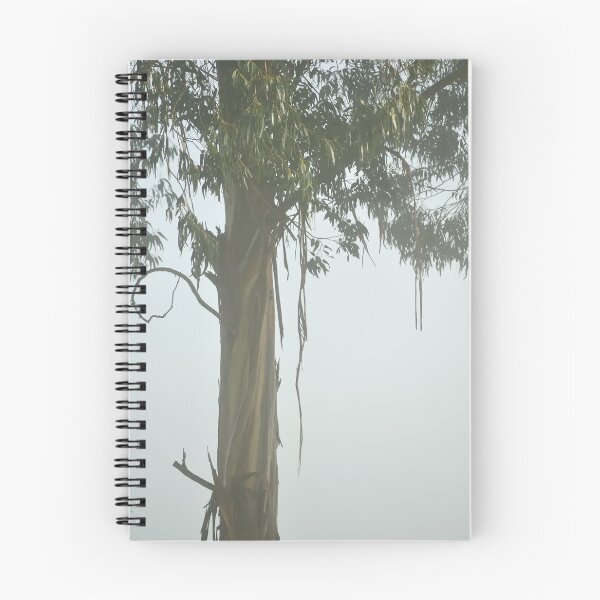Item preview, Gumtree in the Fog designed and sold by metriognome.
