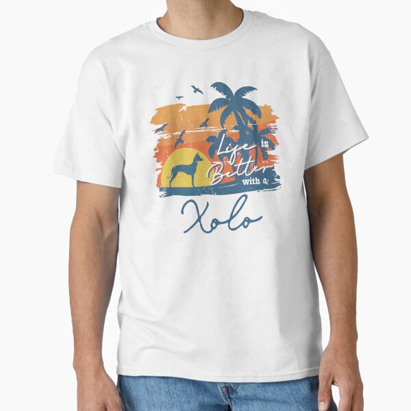 Camiseta clásica