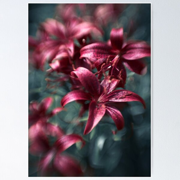 Item preview, Lily garden designed and sold by LoraSi.