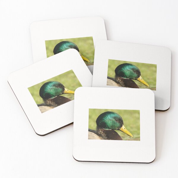 Item preview, Duck Delight designed and sold by Animal-Photos.