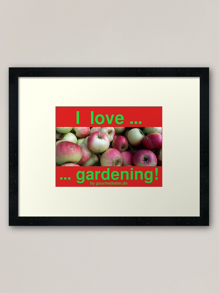 Alternative Ansicht von I love gardening - Äpfel Gerahmter Kunstdruck