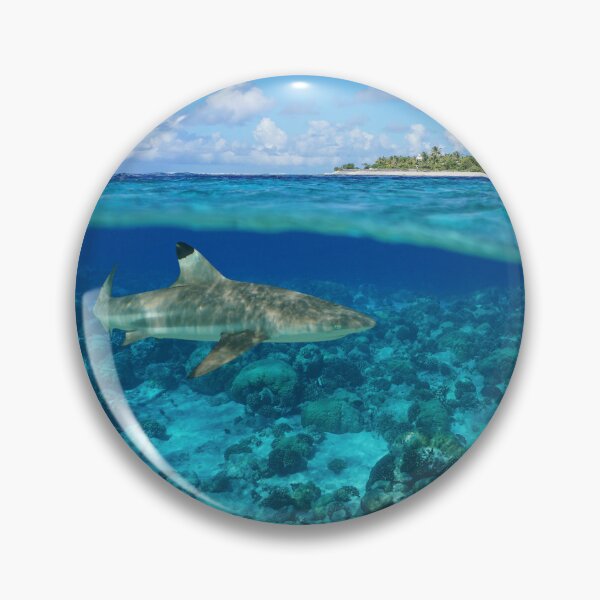 Item preview, Over under sea island and shark underwater Rangiroa designed and sold by Seaphotoart.