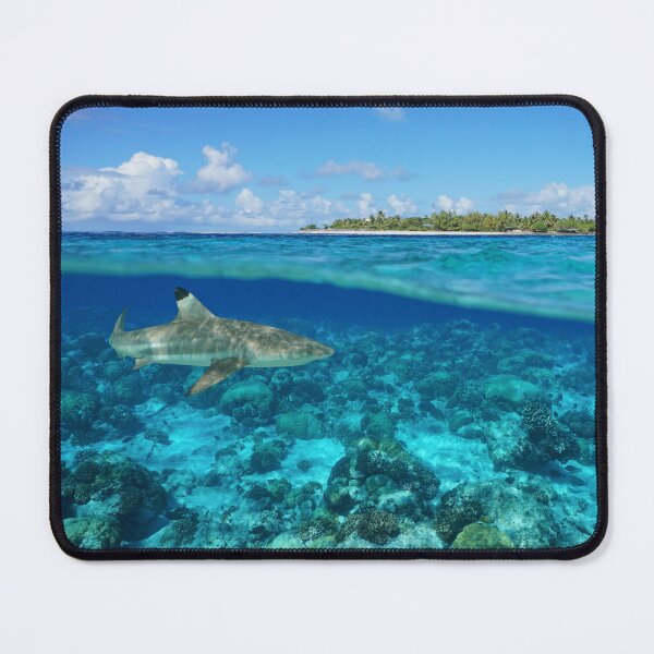 Item preview, Over under sea island and shark underwater Rangiroa designed and sold by Seaphotoart.