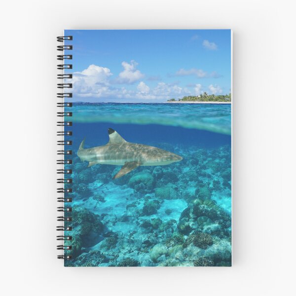 Item preview, Over under sea island and shark underwater Rangiroa designed and sold by Seaphotoart.