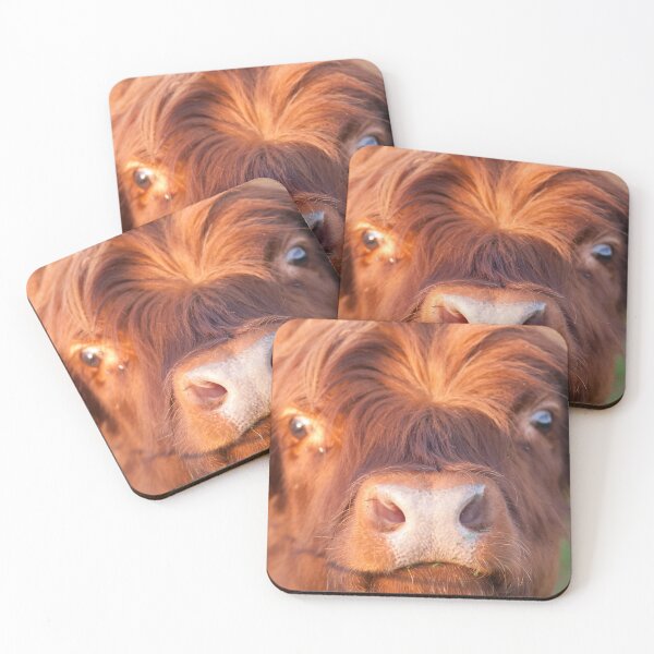 Item preview, Majestic Moo designed and sold by Animal-Photos.