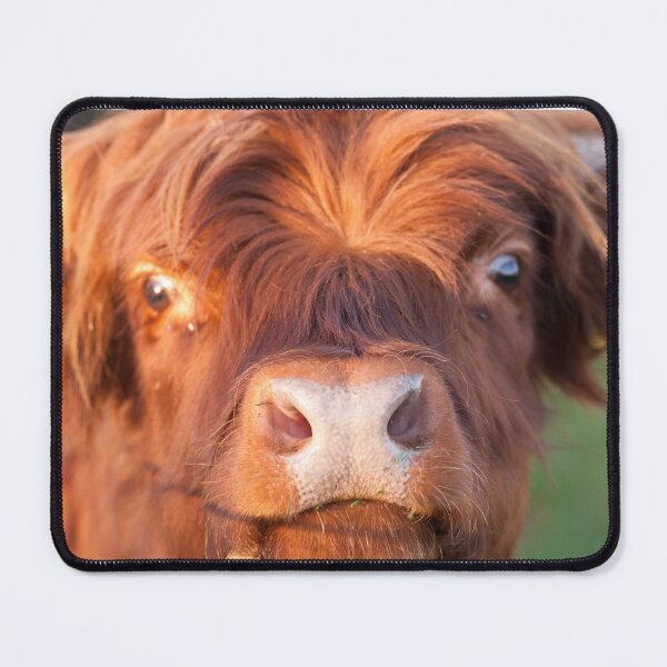 Item preview, Majestic Moo designed and sold by Animal-Photos.