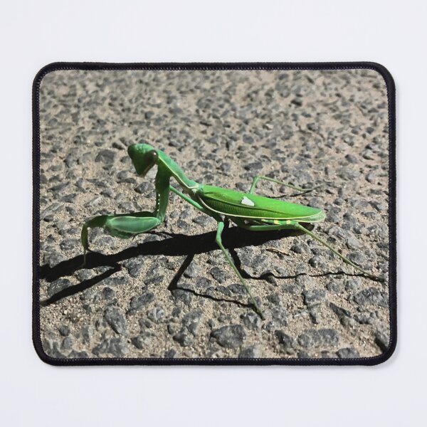 Item preview, Praying Mantis designed and sold by kifayat22.
