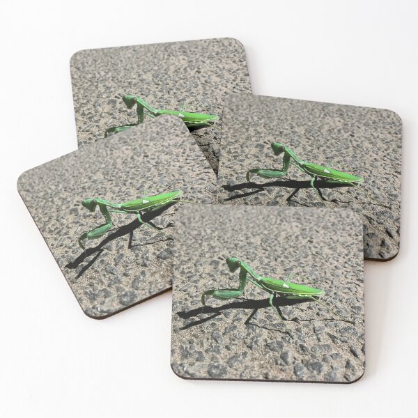 Item preview, Praying Mantis designed and sold by Sangeeta Art Co..
