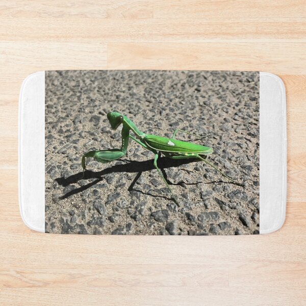 Item preview, Praying Mantis designed and sold by Sangeeta Art Co..
