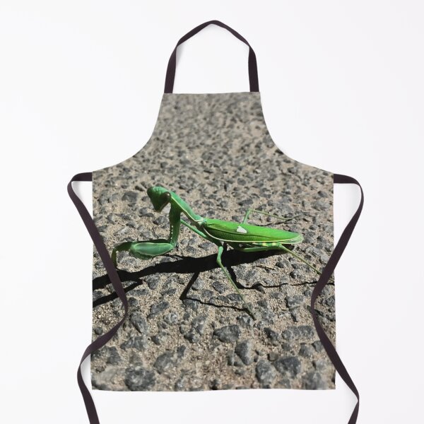 Item preview, Praying Mantis designed and sold by Sangeeta Art Co..