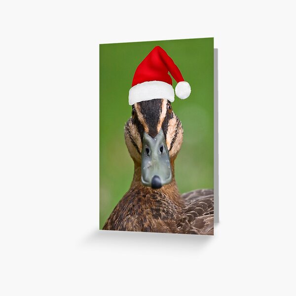 Christmas Duck Greeting Card