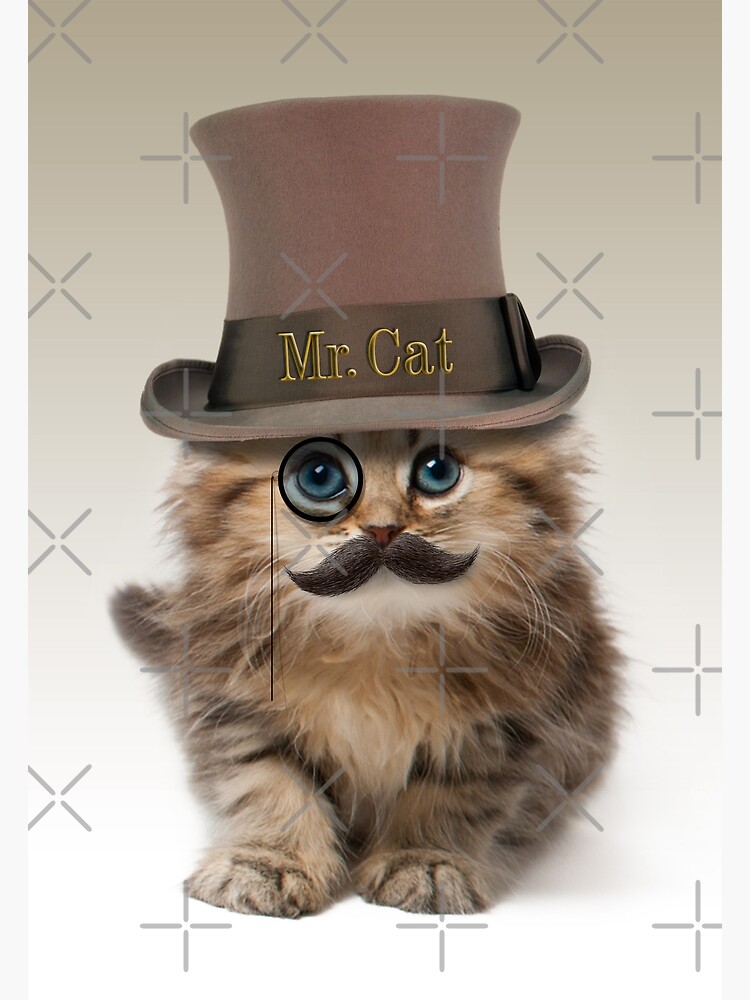 Mister Cat by divotomezove