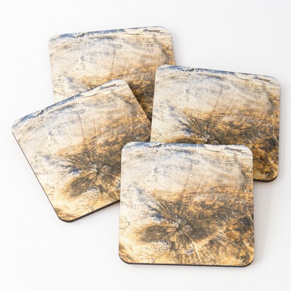 Item preview, Biotic Abstracts - Cool Hoarfrost Crystals on a Tree Log designed and sold by Georgia Mizuleva.