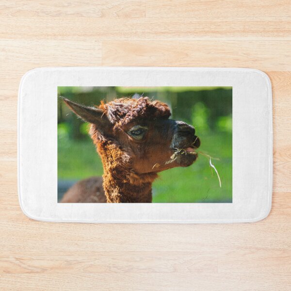 Item preview, Llama Life designed and sold by Animal-Photos.