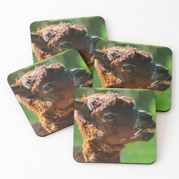 Item preview, Llama Life designed and sold by Animal-Photos.