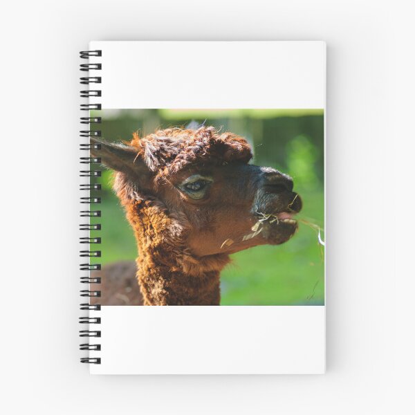 Item preview, Llama Life designed and sold by Animal-Photos.