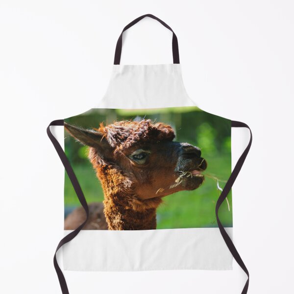 Item preview, Llama Life designed and sold by Animal-Photos.