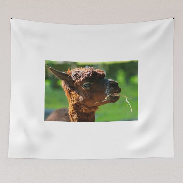 Item preview, Llama Life designed and sold by Animal-Photos.