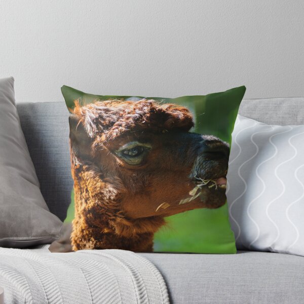 Item preview, Llama Life designed and sold by Animal-Photos.