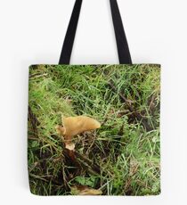 unusual shaped fungi Tote Bag