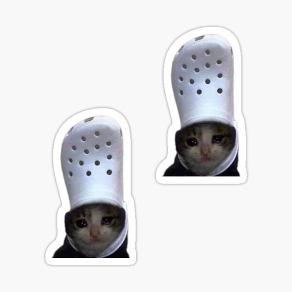 cat & dog crocs meme Sticker for Sale by Carina Jade