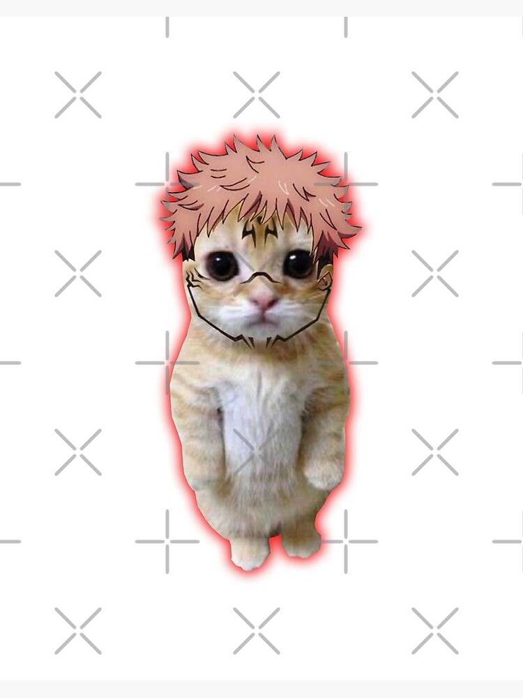Anime Cat Meme Art Board Print for Sale by Anime Sekai