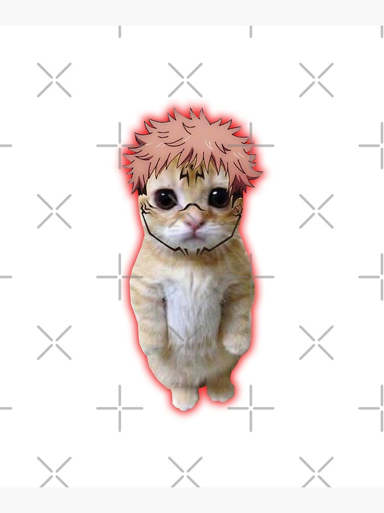 Discover 68 cat anime opening meme latest  induhocakina