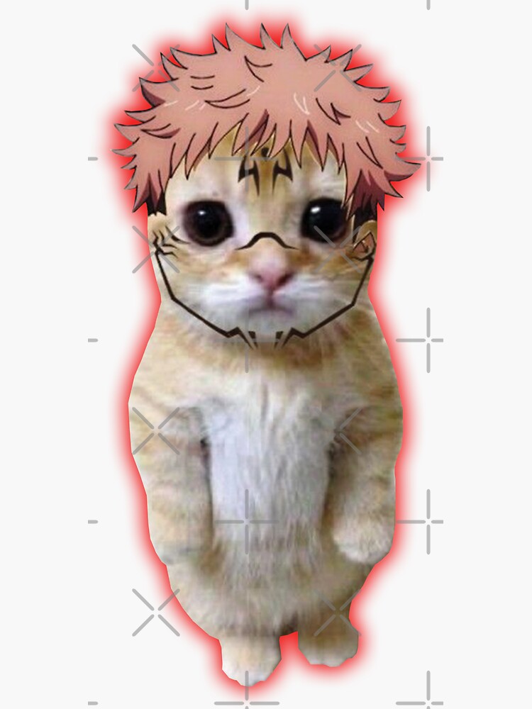 Anime Cat Meme Sticker for Sale by Anime Sekai