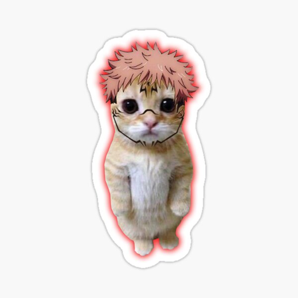 Anime Cat Meme Sticker for Sale by Anime Sekai