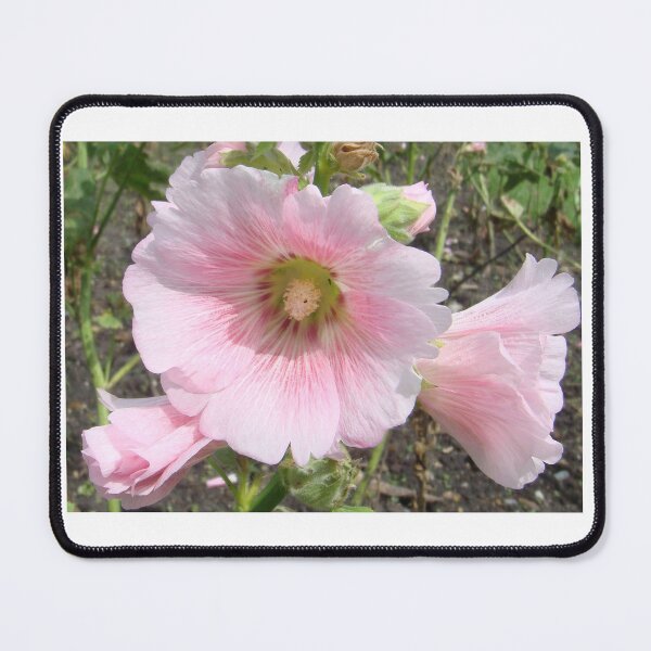 Item preview, Into the forest to take pictures of beautiful flowers to art no.17 designed and sold by greengoodnich.