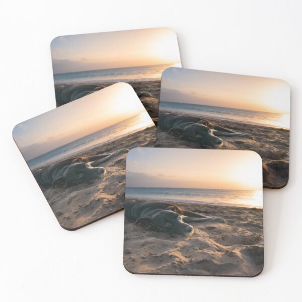 Item preview, Dog lying at beach during sunset designed and sold by raphotography88.