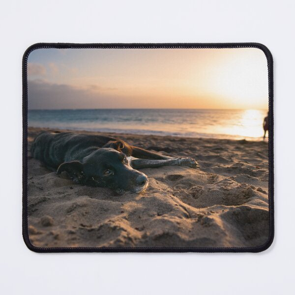 Item preview, Dog lying at beach during sunset designed and sold by raphotography88.