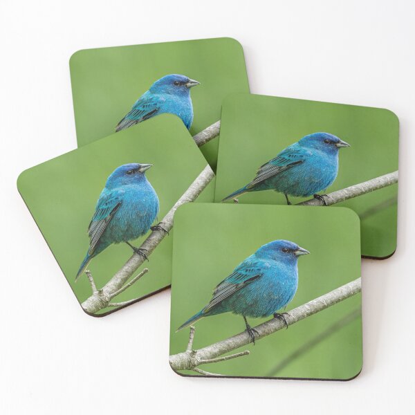 Item preview, Indigo Bunting designed and sold by Michael Cummings.