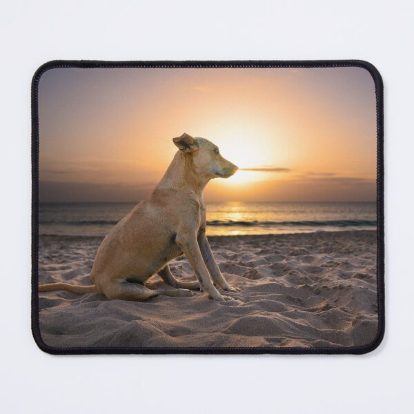Item preview, Dog sitting at beach during sunset designed and sold by raphotography88.