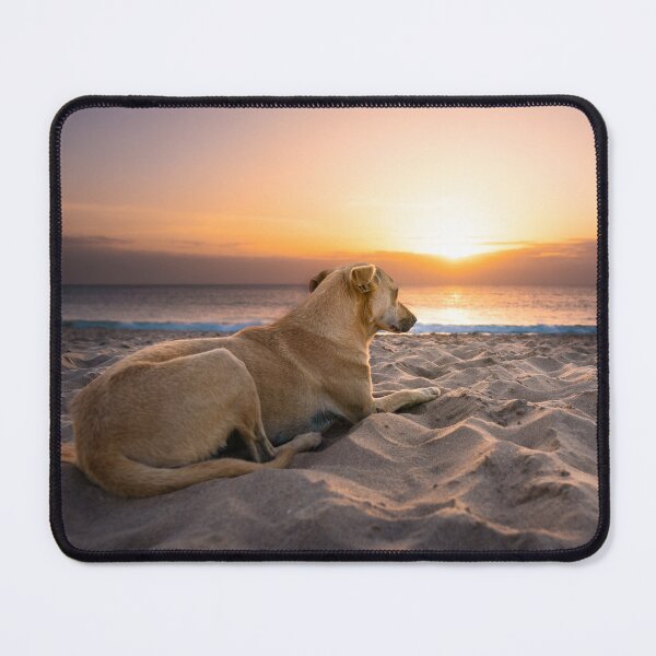 Item preview, Dog lying at beach an watching sunset designed and sold by raphotography88.
