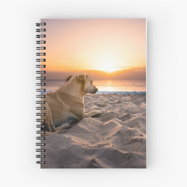 Item preview, Dog lying at beach an watching sunset designed and sold by raphotography88.