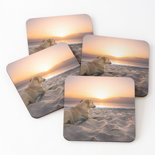 Item preview, Dog lying at beach an watching sunset designed and sold by raphotography88.