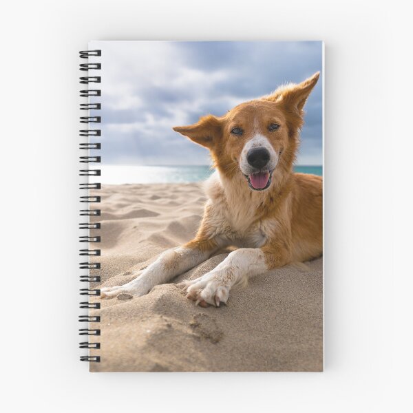 Item preview, Dog lying at beach  designed and sold by raphotography88.