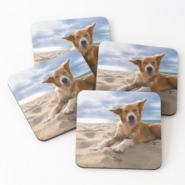 Item preview, Dog lying at beach  designed and sold by raphotography88.