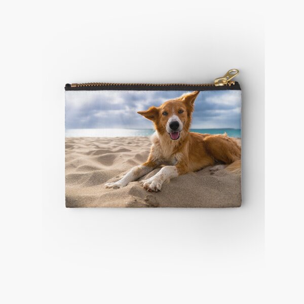 Item preview, Dog lying at beach  designed and sold by raphotography88.