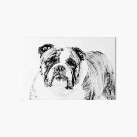 English Bulldog I Art Board Print