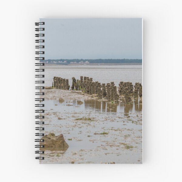 Item preview, Marked mussel field designed and sold by OskiOnTour.