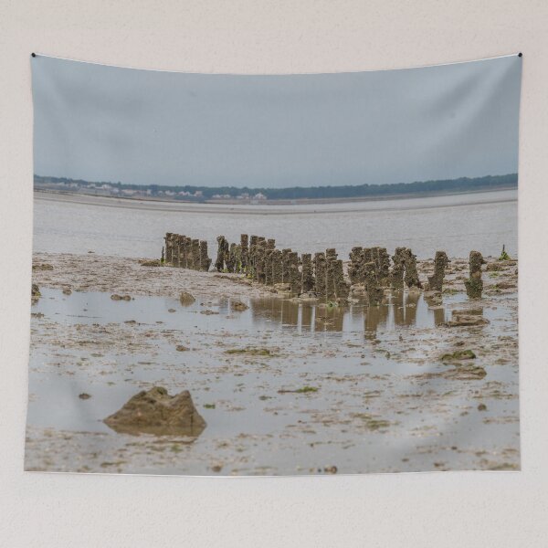 Item preview, Marked mussel field designed and sold by OskiOnTour.