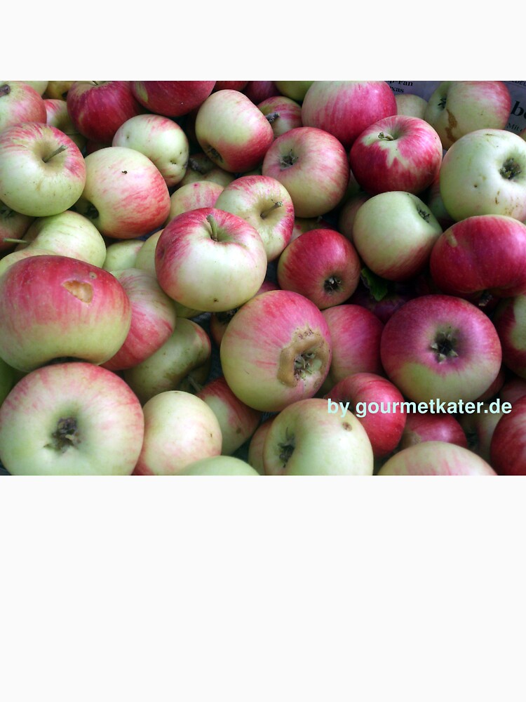 Äpfel - frisch geerntet! von Gourmetkater